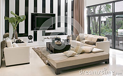Modern Furniture Living on Royalty Free Stock Images  Living Room With The Modern Furniture